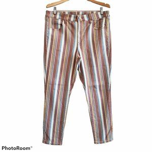 American Eagle Outfitters Multicolor Striped Skinny Jeans
